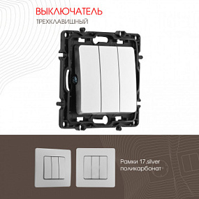 Выключатель трёхклавишный, 10AX 250V 217.30-3.silver Arte Milano
