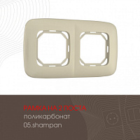 Рамка из поликарбоната на 2 поста 505.05-2.shampan Arte Milano