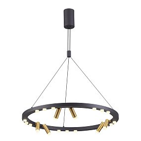 Светодиодная подвесная люстра Odeon Light BEVEREN 3918/63L