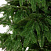 Ель CRYSTAL TREES ШОТЛАНДИЯ 270 см. (инт.подставка) KP4727