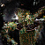 Ель CRYSTAL TREES ЗВЕЗДНАЯ РОССЫПЬ 215 см. KP40210