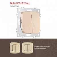 Выключатель жалюзи, 10A 250V 205.38-2.shampan Arte Milano