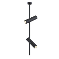 Потолочный светильник Maytoni Elti C021CL-02B