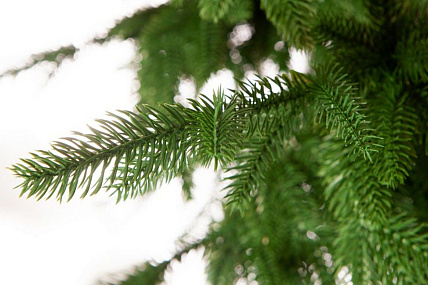Ель CRYSTAL TREES ШОТЛАНДИЯ 270 см. (инт.подставка) KP4727