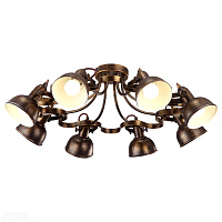 Люстра потолочная Arte Lamp MARTIN A5216PL-8BR