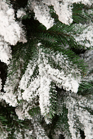 Ель CRYSTAL TREES Амати в снегу 210 см. KP4021S
