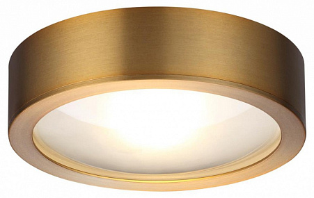 Светодиодный потолочный светильник Odeon Light REUS 4342/7CL