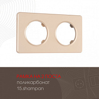 Рамка из поликарбоната на 2 поста 502.15-2.shampan Arte Milano