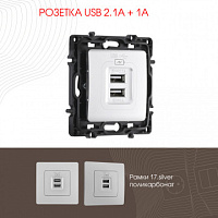 Розетка USB 2.1А+1А 217.46-1.silver Arte Milano