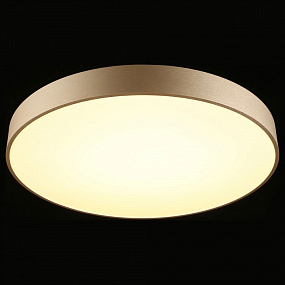 Потолочный светодиодный светильник Aployt Virzhini APL.023.07.68