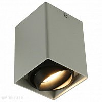 Накладной светильник Arte Lamp A5655PL-1WH
