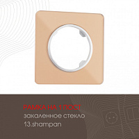 Рамка из закаленного стекла на 1 пост 502.13-1.shampan Arte Milano