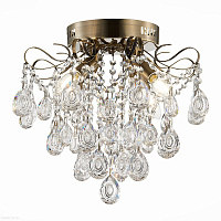 Люстра потолочная EVOLUCE KAME SLE160102-04