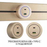 Трековая розетка, 3.1A 250V 399731TS/USB-Type-C Gold Arte Milano