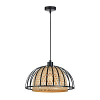 Подвесной светильник Arte Lamp WOODSTOCK A7071SP-1BK