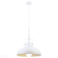 Подвесной светильник Arte Lamp MARTIN A5213SP-1WG