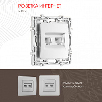 Розетка RJ45 х 2 217.45-2.silver Arte Milano