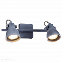Спот Arte Lamp A9189AP-2GY