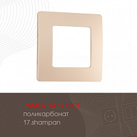 Рамка из поликарбоната на 1 пост 517.17-1.shampan Arte Milano