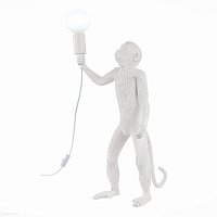 Настольная лампа EVOLUCE TENATO SLE115114-01