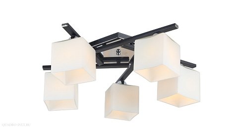 Люстра потолочная Arte Lamp VISUALE A8165PL-5BK