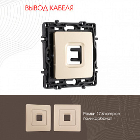 Вывод кабеля 217.49-1.shampan Arte Milano
