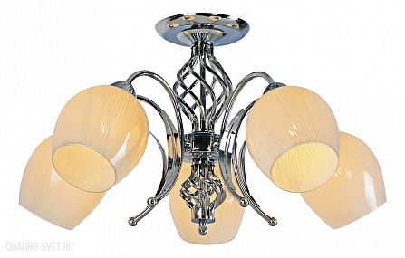 Люстра потолочная Arte Lamp Spumone A1606PL-5CC