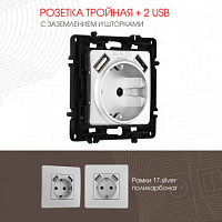 Розетка с заземлением, шторками + 2 USB, 16A 250V, USB DC 5V 2.1A 217.47-1.silver Arte Milano