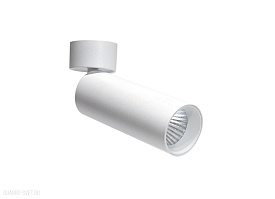 Накладной поворотный светильник Donolux Rollo DL18895R1W ST