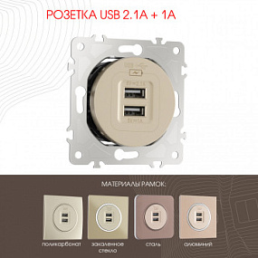 Розетка USB 2.1А+1А 202.46-1.shampan Arte Milano
