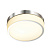 Настенно-потолочный светодиодный светильник Odeon Light RIMA 4680/12CL