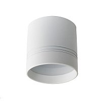 Накладной светодиодный светильник Donolux Barell DL18484/WW-White R