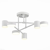 Потолочная люстра светодиодная с регулировкой цветовой температуры Evoluce Nobel SLE201052-06