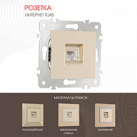 Розетка интернет RJ45 203.45-1.shampan Arte Milano