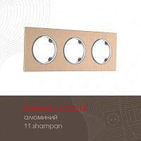Рамка из алюминия на 3 поста 502.11-3.shampan Arte Milano