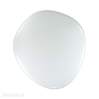 Настенно-потолочный светильник с пультом ДУ СОНЕКС STONE 2039/EL