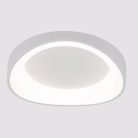 Светодиодный потолочный светильник Arte Lamp SUALOCIN A2698PL-48WH
