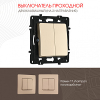 Выключатель двухклавишный проходной (на 2 направления), 10AX 250V 217.32-2.shampan Arte Milano