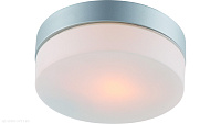 Настенно-потолочный уличный светильник Arte Lamp SHIRP A3211PL-1SI