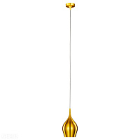 Подвесной светильник Arte Lamp VIBRANT A6412SP-1GO