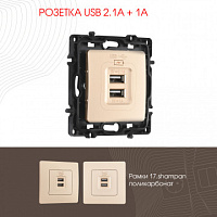 Розетка USB 2.1А+1А 217.46-1.shampan Arte Milano