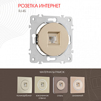 Розетка интернет, RJ45 202.45-1.shampan Arte Milano