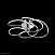 Потолочная светодиодная люстра Maytoni Klee MOD447-55-N
