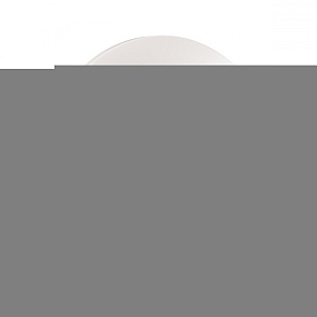 Настенно-потолочный светодиодный светильник СОНЕКС SIMPLE 3017/DL