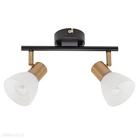 Спот Arte Lamp FALENA A3117PL-2BK