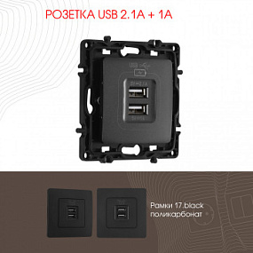 Розетка USB 2.1А+1А 217.46-1.black Arte Milano