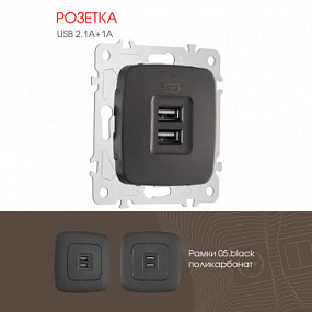 Розетка USB 2.1А+1А 205.46-1.black Arte Milano