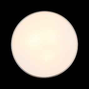 Настенно-потолочный светильник ST Luce Bagno SL468.502.03