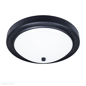 Потолочный светильник Arte Lamp JAMES A4049PL-3BK