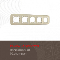 Рамка из поликарбоната на 5 постов 505.05-5.shampan Arte Milano